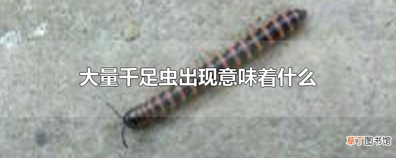 大量千足虫出现意味着什么