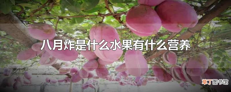 八月炸是什么水果有什么营养