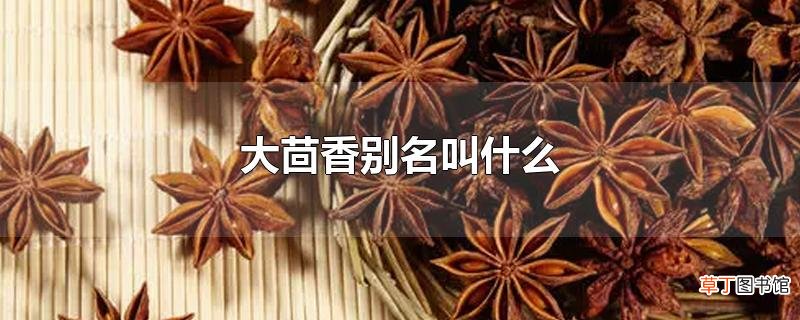 大茴香别名叫什么