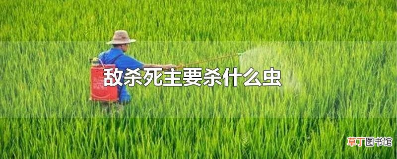敌杀死主要杀什么虫