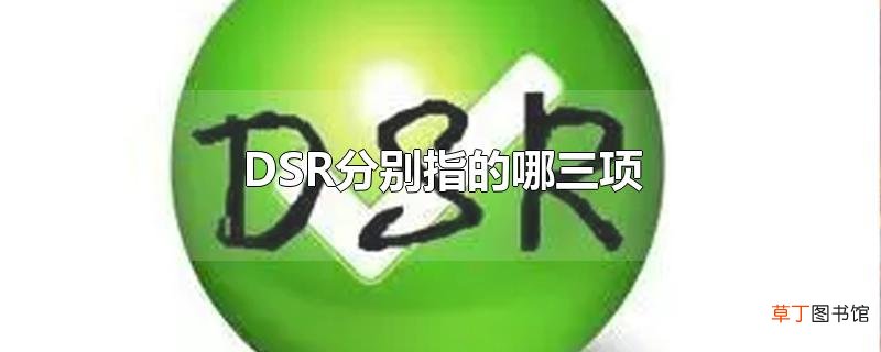 DSR分别指的哪三项