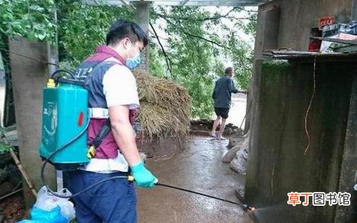洪水灾害极易造成疫病流行 灾后预防动物疫病措施