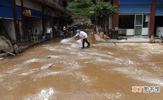 洪水灾害极易造成疫病流行 灾后预防动物疫病措施
