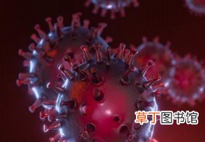 印度病毒会传染到中国吗 印度变异毒株已传至40多国和地区
