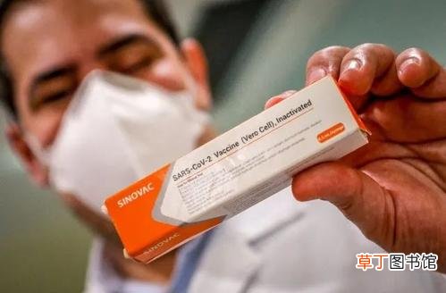 科兴和北京生物疫苗哪个好 美媒称中国科兴疫苗高度有效