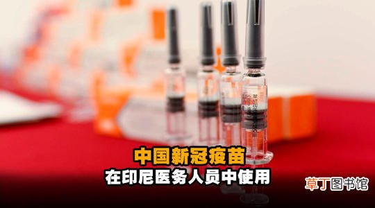 科兴和北京生物疫苗哪个好 美媒称中国科兴疫苗高度有效