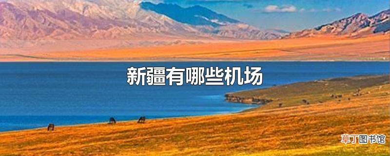 新疆有哪些机场