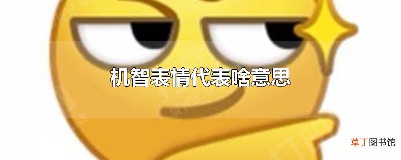 机智表情代表啥意思