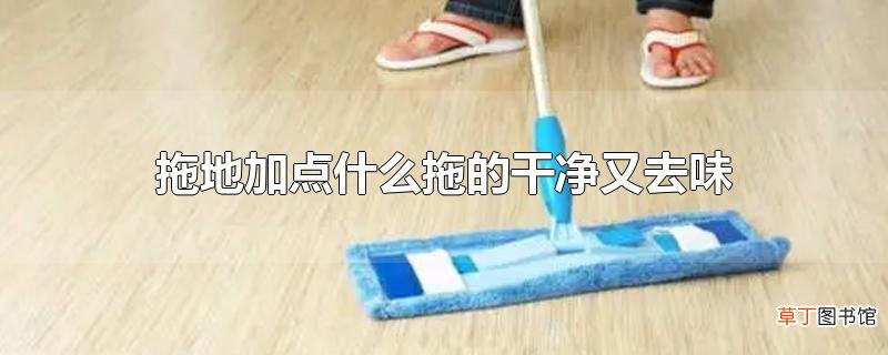 拖地加点什么拖的干净又去味
