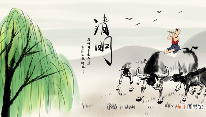 清明时节雨纷纷路上行人欲断魂中的雨是指