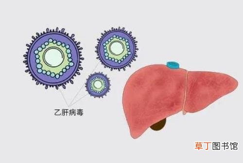 慢性乙肝办慢性病-慢性乙肝办慢性病是什么