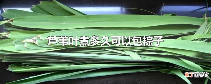 芦苇叶煮多久可以包粽子