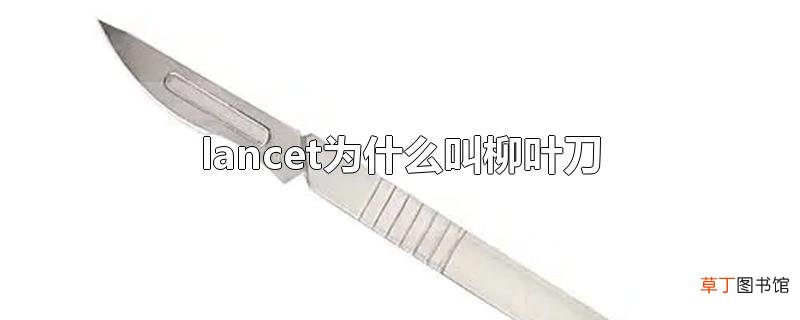 lancet为什么叫柳叶刀