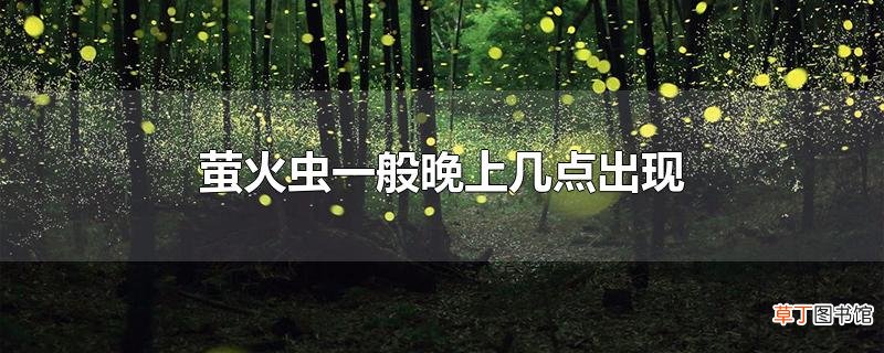 萤火虫一般晚上几点出现