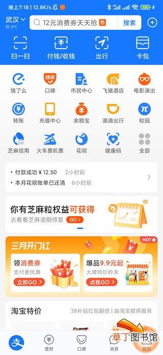 花呗已无法正常使用怎样回事