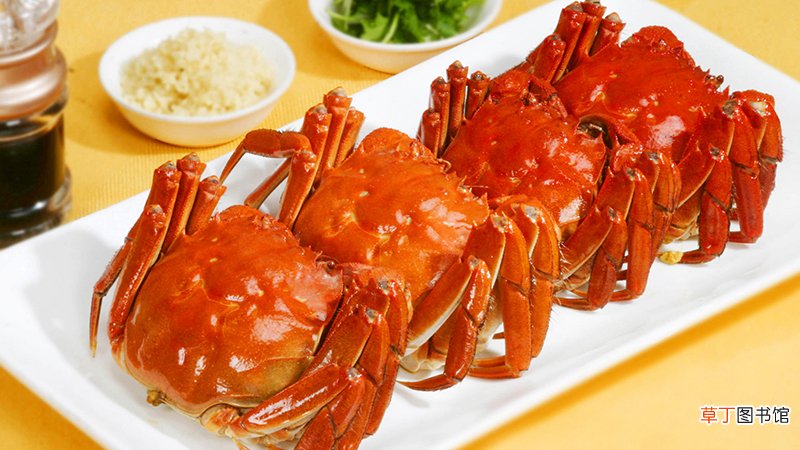 重阳节吃什么传统食物
