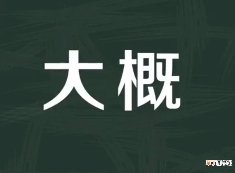 大概的意思是什么