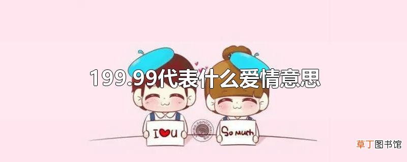 199.99代表什么爱情意思