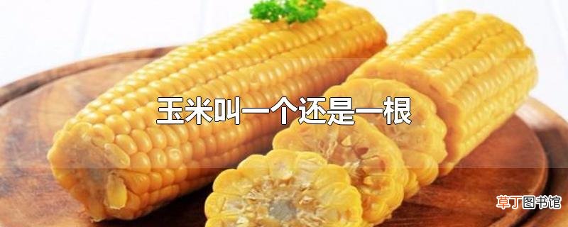 玉米叫一个还是一根