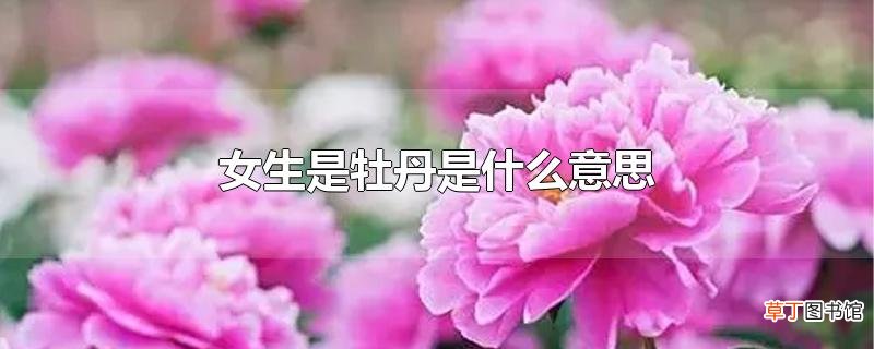 女生是牡丹是什么意思