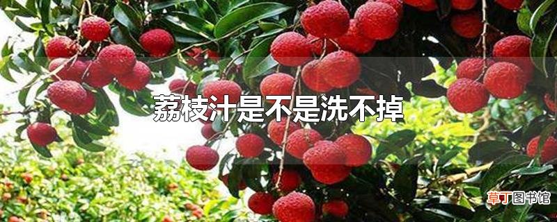荔枝汁是不是洗不掉