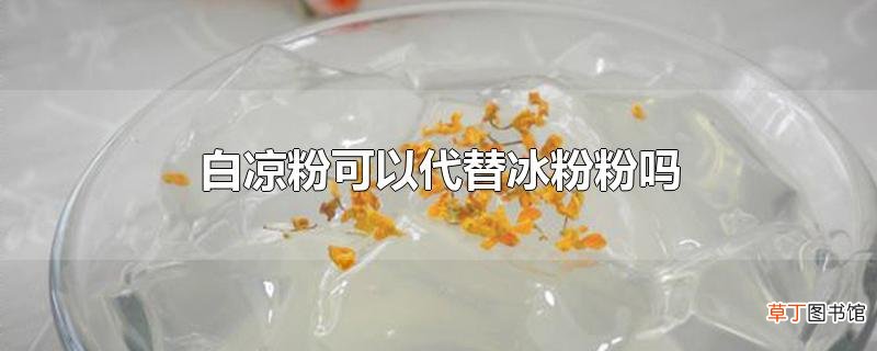 白凉粉可以代替冰粉粉吗