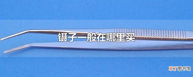 镊子一般在哪里买