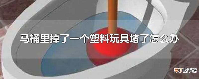马桶里掉了一个塑料玩具堵了怎么办