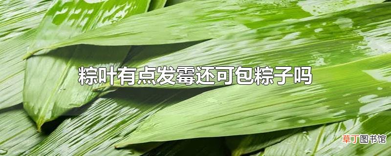 粽叶有点发霉还可包粽子吗