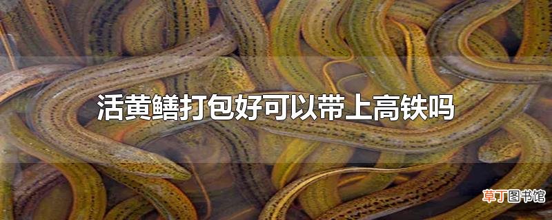 活黄鳝打包好可以带上高铁吗