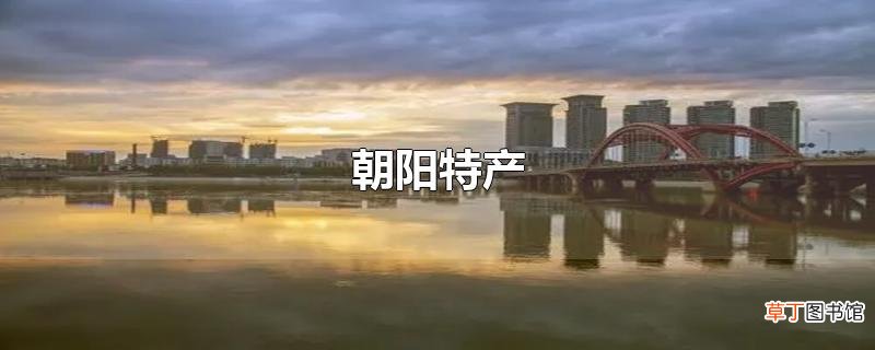 朝阳特产