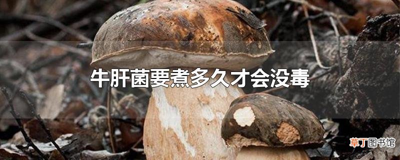 牛肝菌要煮多久才会没毒
