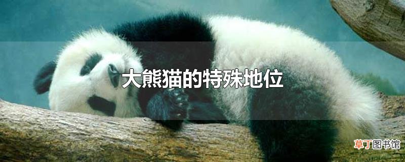 大熊猫的特殊地位