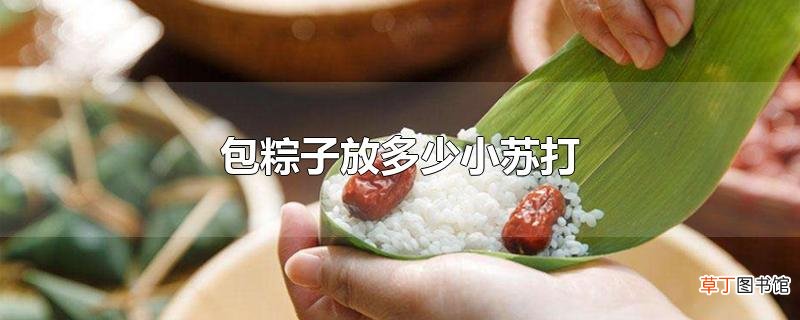 包粽子放多少小苏打