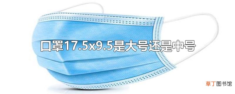 口罩17.5x9.5是大号还是中号