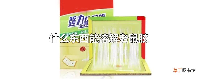 什么东西能溶解老鼠胶