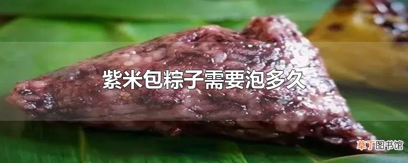 紫米包粽子需要泡多久