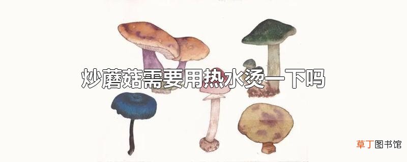 炒蘑菇需要用热水烫一下吗