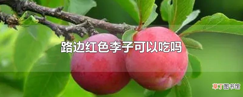 路边红色李子可以吃吗