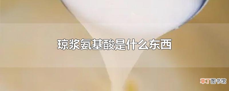 琼浆氨基酸是什么东西