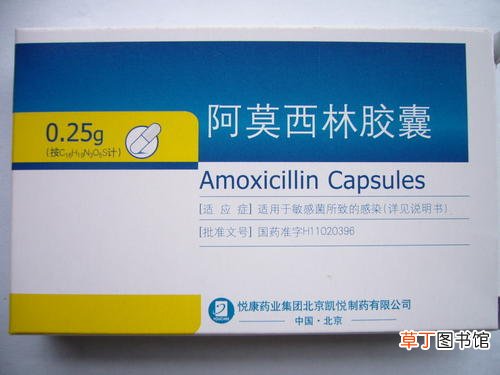 吃了阿莫西林可以喝酒吗-阿莫西林的禁忌有哪些