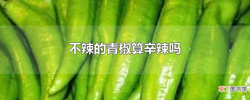 不辣的青椒算辛辣吗