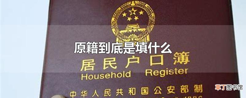 原籍到底是填什么