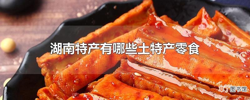 湖南特产有哪些土特产零食