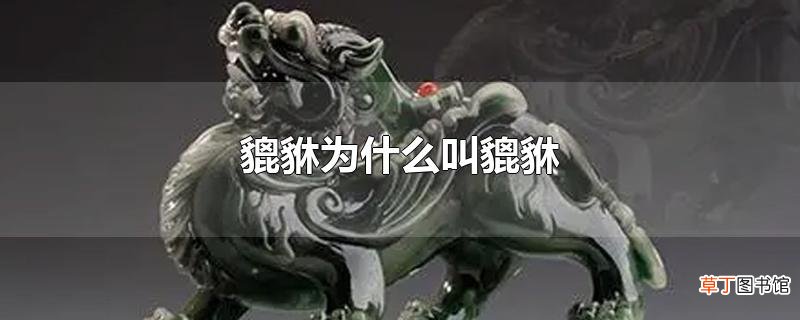貔貅为什么叫貔貅