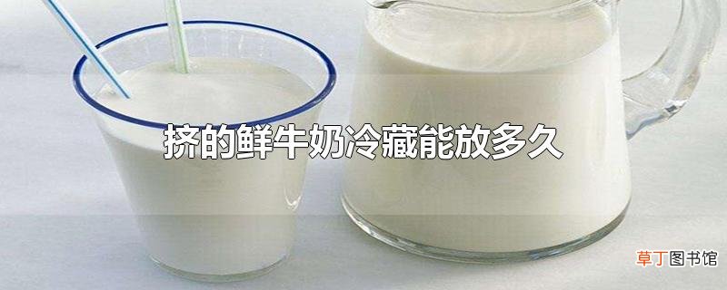 挤的鲜牛奶冷藏能放多久