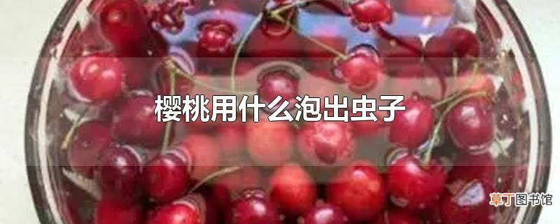 樱桃用什么泡出虫子