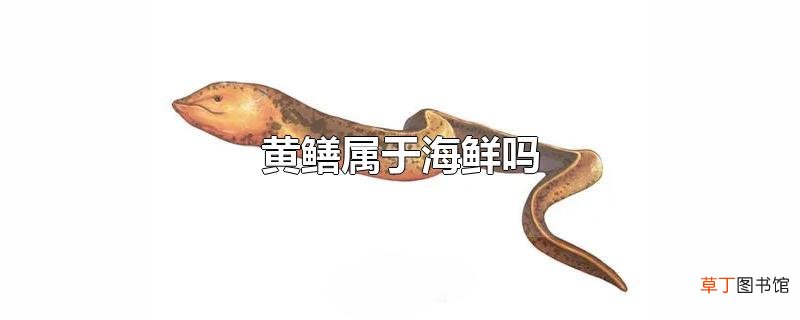 黄鳝属于海鲜吗
