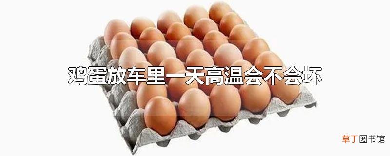 鸡蛋放车里一天高温会不会坏