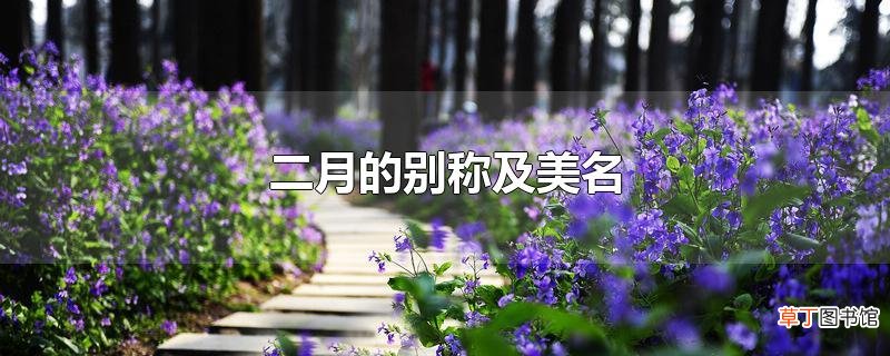 二月的别称及美名